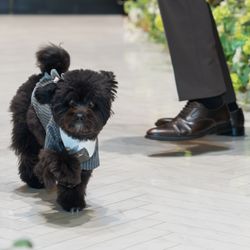 ニーズ心斎橋 by T&G WEDDING の写真3枚目