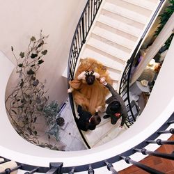 南青山サンタキアラ教会の写真1枚目