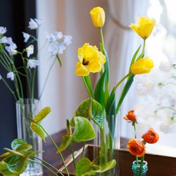 南青山サンタキアラ教会の写真6枚目