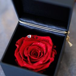 南青山サンタキアラ教会の写真5枚目