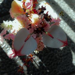 THE SORAKUEN の写真13枚目