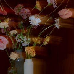 THE SORAKUEN の写真8枚目