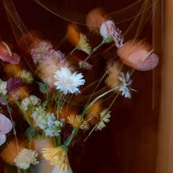 THE SORAKUEN の写真15枚目