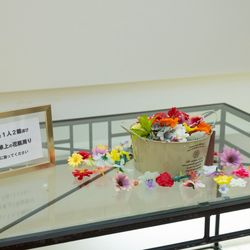 Lumiamoreの写真8枚目