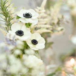 TRUNK HOTELの写真21枚目