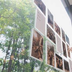 アルカンシエル luxe mariage 名古屋の写真20枚目