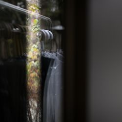 ザ・ガーデンオリエンタル大阪の写真31枚目