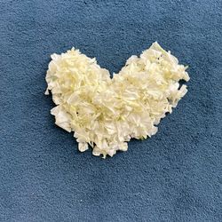 ニーズ神戸三宮 by T&G WEDDING の写真4枚目