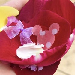 ザ・ロイヤルクラシック福岡の写真26枚目