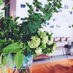 TRUNK HOTELの写真2枚目