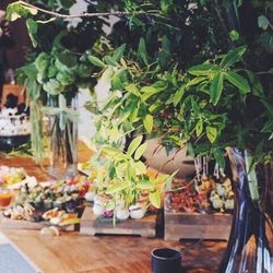 TRUNK HOTELの写真4枚目