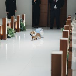 KOTOWA 京都 八坂の写真2枚目