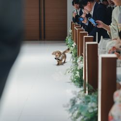 KOTOWA 京都 八坂の写真8枚目