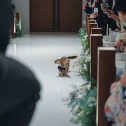 KOTOWA 京都 八坂の写真6枚目