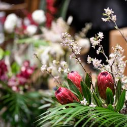 BAYSIDE GEIHINKAN VERANDA minatomiraiの写真31枚目