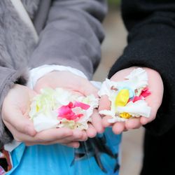 アルタビスタ ガーデンの写真28枚目