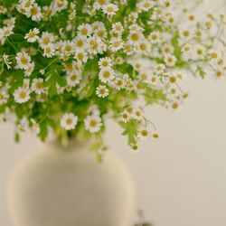 NELU 高麗橋の写真4枚目