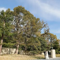 ザ・ガーデンオリエンタル大阪の写真27枚目