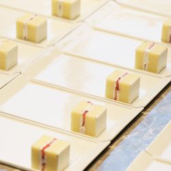 ラグナヴェール プレミア  LAGUNAVEIL PREMIERの写真33枚目