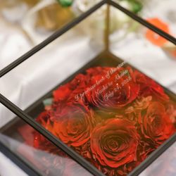 ラグナヴェール プレミア  LAGUNAVEIL PREMIERの写真29枚目