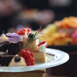 ララシャンスガーデン 東京ベイの写真2枚目