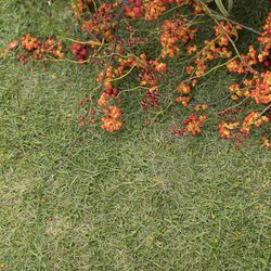 ザ・ガーデンオリエンタル大阪の写真3枚目