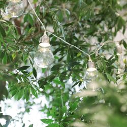 Mia Viaの写真23枚目