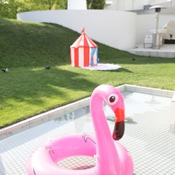 Mia Viaの写真30枚目