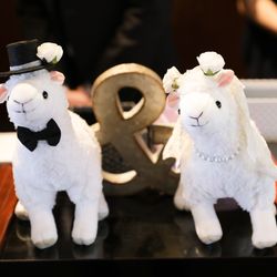 Mia Viaの写真19枚目