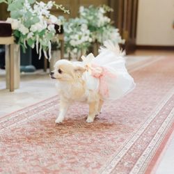 アニバーサリー アン 恵比寿の写真4枚目