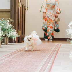 アニバーサリー アン 恵比寿の写真1枚目