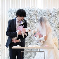 THE JAPONAIS LISERJUの写真32枚目