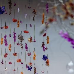 キンプトン新宿東京の写真12枚目