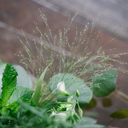 古我邸の写真7枚目