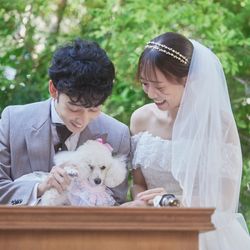 エレガンテヴィータの写真3枚目
