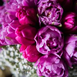 グランド ハイアット 東京の写真1枚目