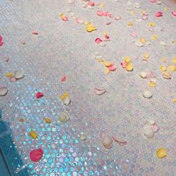 THINGS Aoyama Organic Garden.dthの写真30枚目