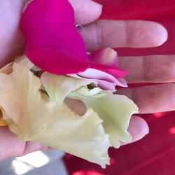 アーカンジェル代官山の写真17枚目