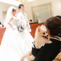 アーカンジェル代官山の写真7枚目