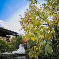 ザ・ガーデンオリエンタル大阪の写真20枚目