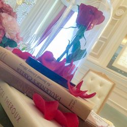 アンジェリオン オ プラザ TOKYOの写真12枚目