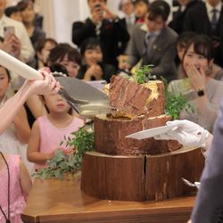 ラソールガーデン大阪の写真29枚目