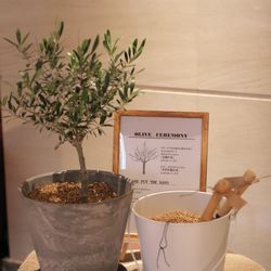 ラソールガーデン大阪の写真36枚目