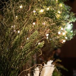 ザ・ガーデンオリエンタル大阪の写真2枚目