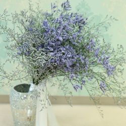 ララシャンスベルアミー 鳥栖の写真27枚目