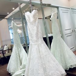 ララシャンスベルアミー 鳥栖の写真33枚目