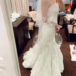 ララシャンスベルアミー 鳥栖の写真29枚目