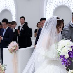 ステラ・デル・アンジェロの写真26枚目