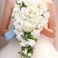 ビアンカーラ マリーナテラスの写真33枚目