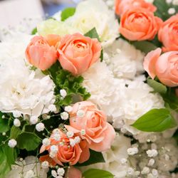 アンジェリオン オ プラザ TOKYOの写真9枚目